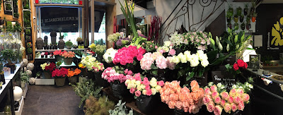 MAISON CELESTIN Artisan Fleuriste à Lyon
