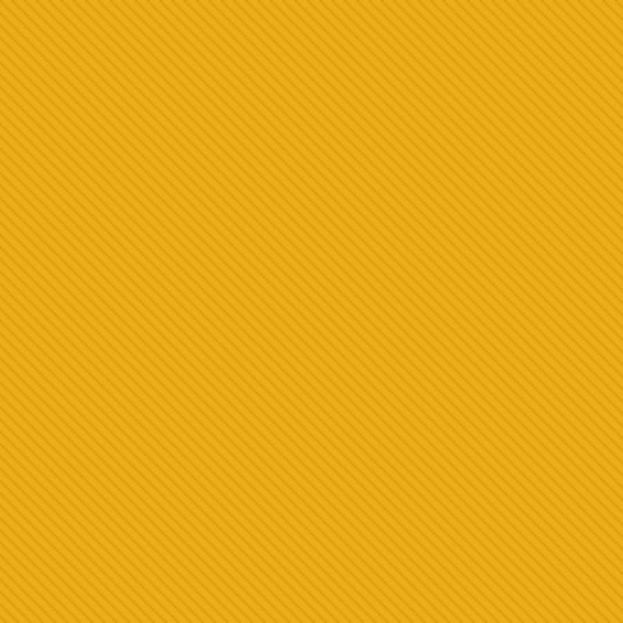 Autoescuela Pit Lane