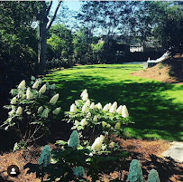 B&H Landscape and Tree Services - Photo 2 - Car repair in Nashville, TN, Nashville