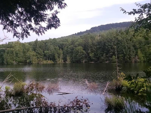 Real Estate Agency «First Choice Real Estate», reviews and photos, 46 North St, Houlton, ME 04730, USA