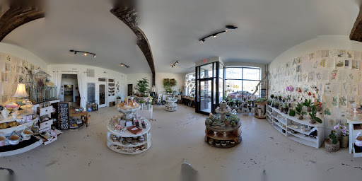 Florist «Flora», reviews and photos, 428 Haywood Rd B, Asheville, NC 28806, USA