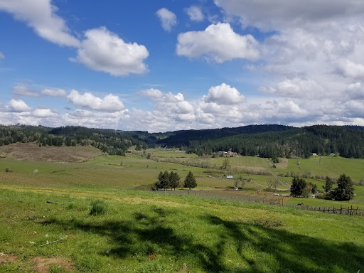 Winery «Sweet Cheeks Winery», reviews and photos, 27007 Briggs Hill Rd, Eugene, OR 97405, USA