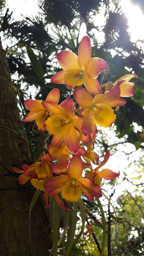 Sightseeing Tour Agency «Jungle Queen Riverboat», reviews and photos, 801 Seabreeze Blvd, Fort Lauderdale, FL 33316, USA