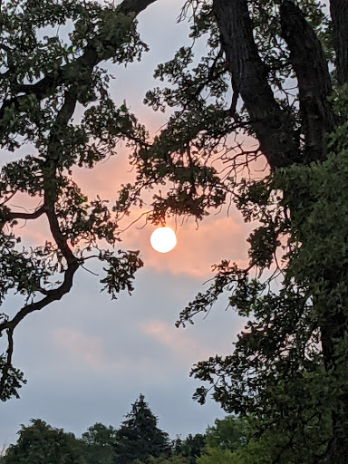 Golf Club «Whisper Creek Golf Course», reviews and photos, 12840 Del Webb Blvd, Huntley, IL 60142, USA