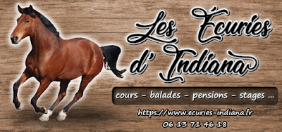 Les Ecuries d'Indiana à Montesquieu-Volvestre