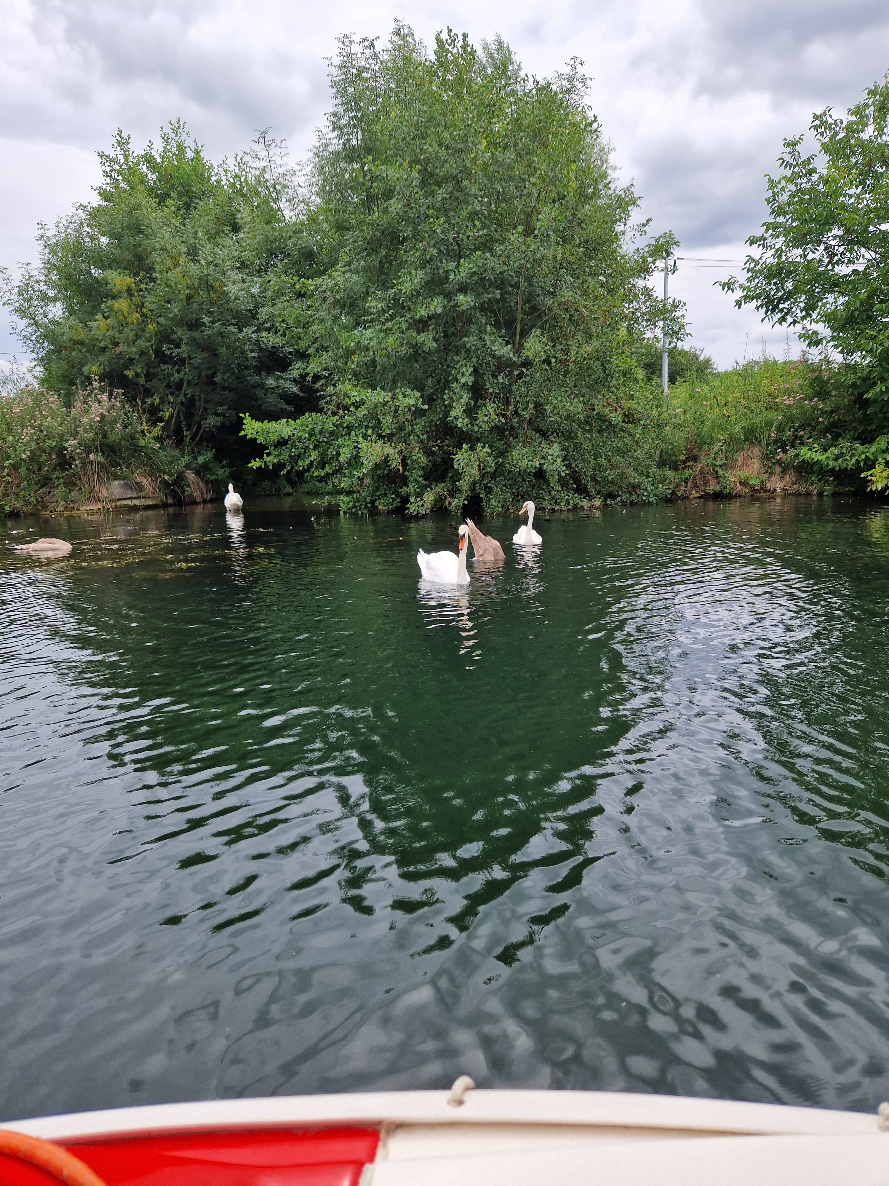 Photo n° 3 de l'avis de Laetitia.a fait le 01/08/2022 à 16:21