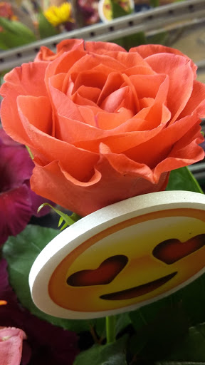 Grocery Store «Giant Food Stores», reviews and photos, 1465 W Broad St, Quakertown, PA 18951, USA