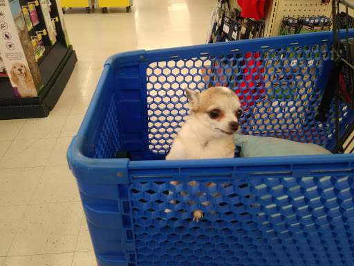 Pet Supply Store «PetSmart», reviews and photos, 10 Traders Way, Salem, MA 01970, USA