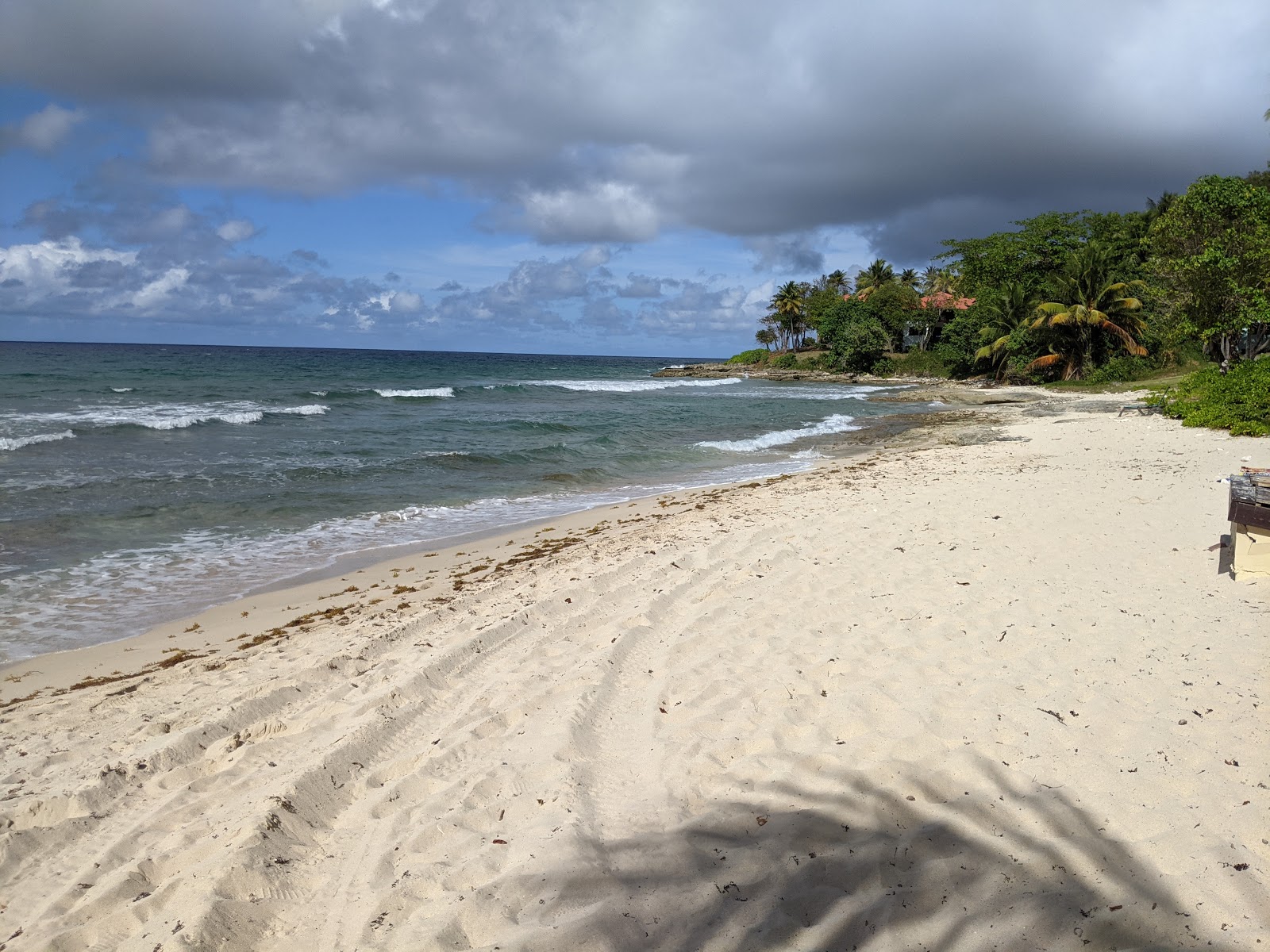 Fotografija Davis beach z svetel pesek površino