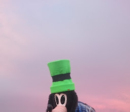 Universitario Park photo