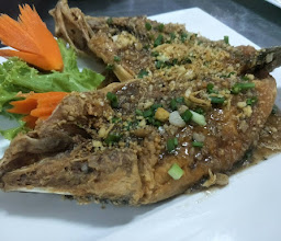 Baan Thai Restaurant photo