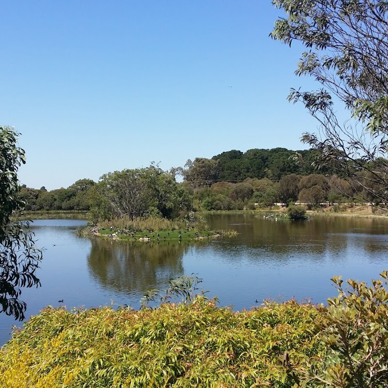 Lake McIntyre