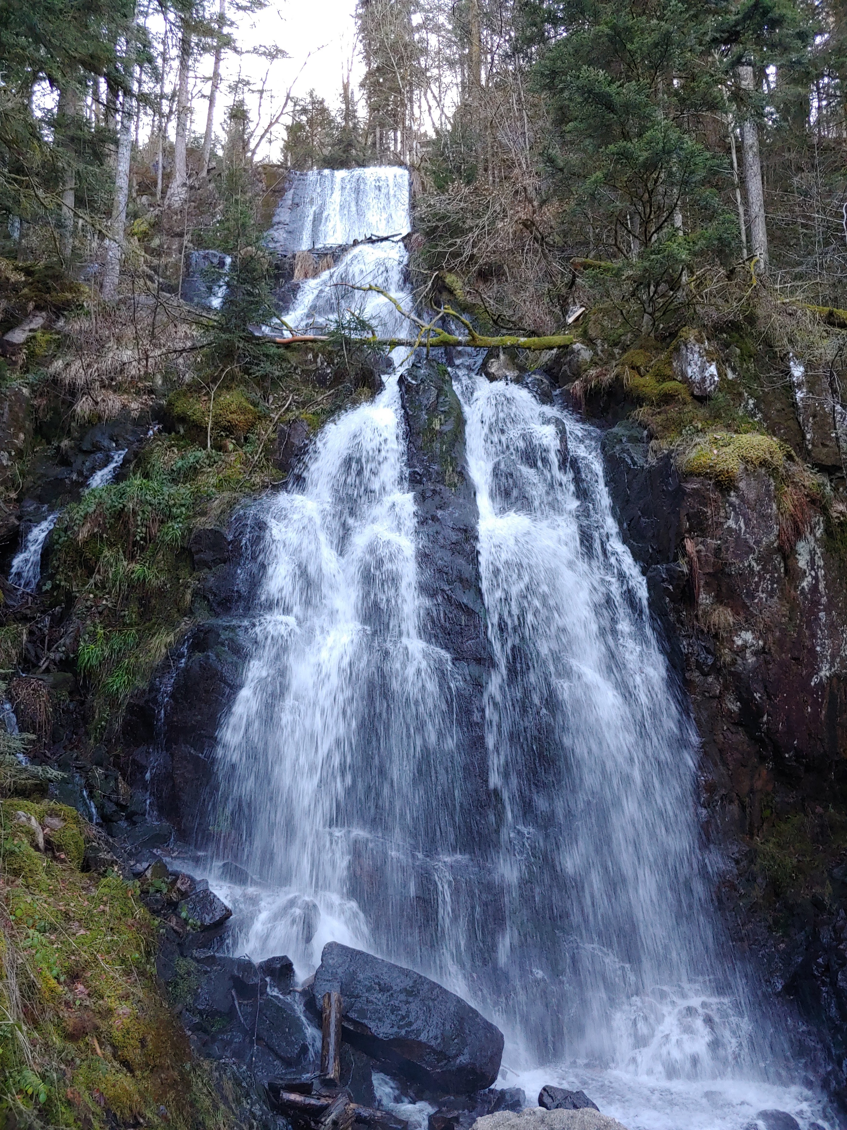 Photo n° 1 de l'avis de Dominique.o fait le 17/02/2019 à 15:54