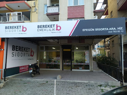 EFEGÜN SİGORTA ARACILIK HİZ.LTD.ŞTİ