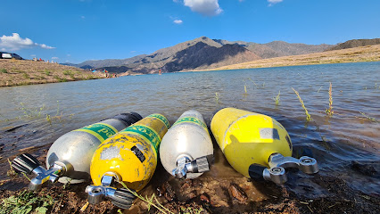 BUCEOACONCAGUA