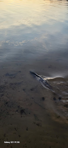 Art-Muz. Cuber E. - Staszów