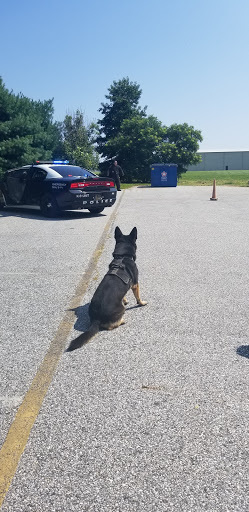 Event Planner «Leaping Lizards, LLC», reviews and photos, 56 Artisan Dr, Smyrna, DE 19977, USA