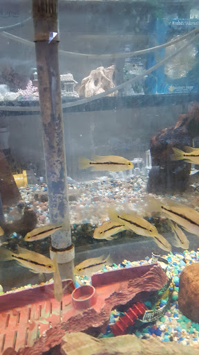 Tropical Fish Store «Tropical Treasures», reviews and photos, 2212 E Platte Ave, Colorado Springs, CO 80909, USA