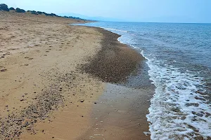 Caiaphas Beach image