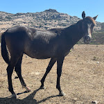 Photo n°1 de l'avis de Jochen.. fait le 22/06/2022 à 15:22 sur le  Hôtel Cala Reale à Stintino