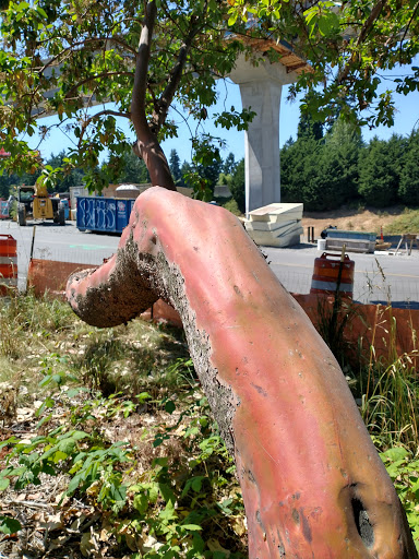 Park «Jackson Park Golf Course», reviews and photos, 1000 NE 135th St, Seattle, WA 98125, USA