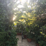 Photo n°1 de l'avis de Franco.a fait le 26/07/2017 à 14:29 sur le  Hotel Villamare Fontane Bianche à Fontane Bianche