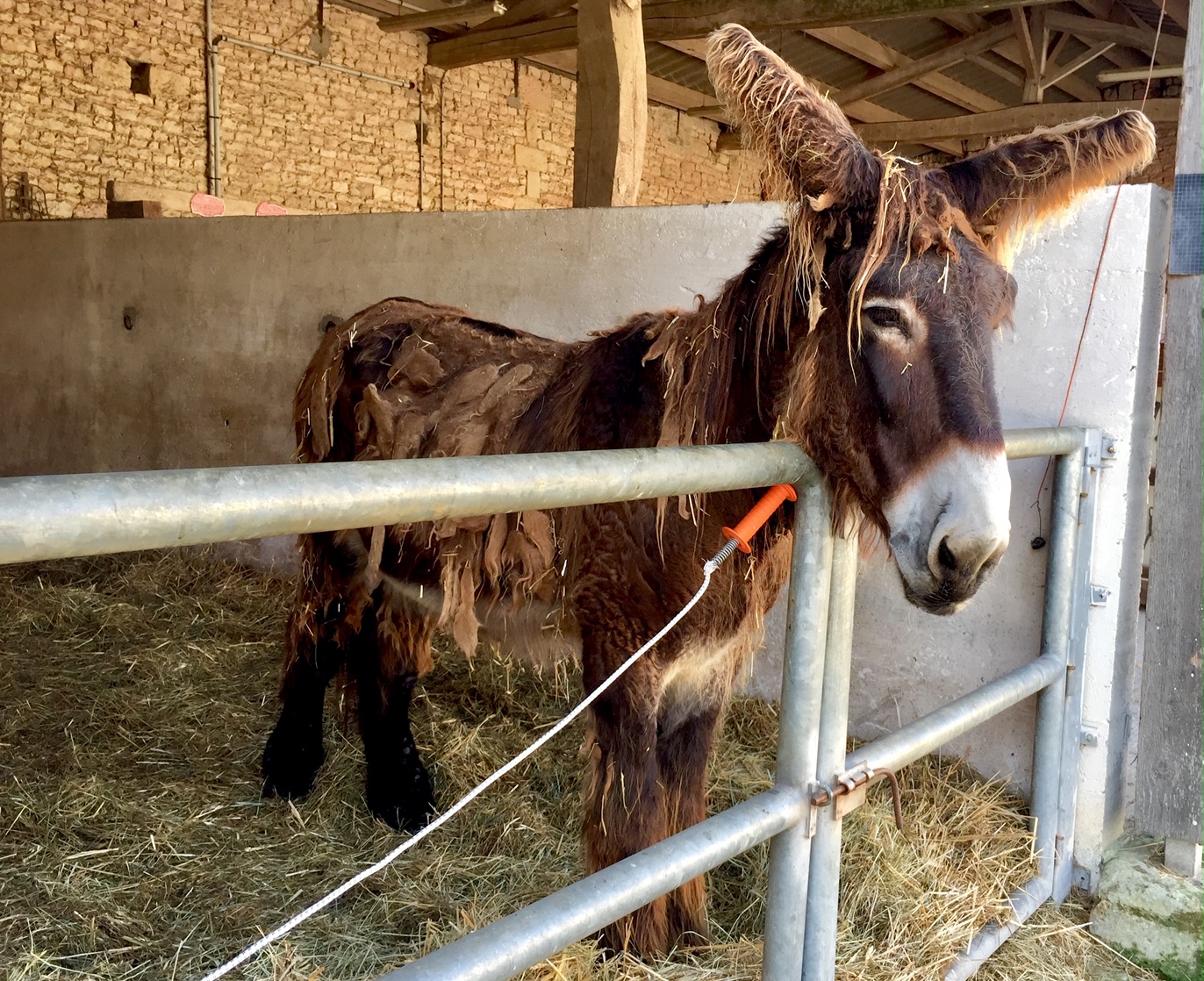 Photo n° 1 de l'avis de Paul.� fait le 18/05/2020 à 06:59