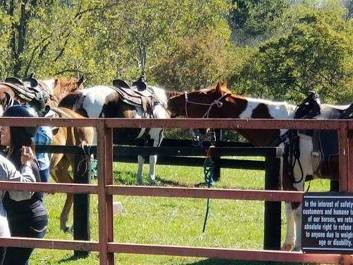 Ranch «The Marriott Ranch Bed and Breakfast», reviews and photos, 5305 Marriott Ln, Hume, VA 22639, USA