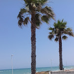 Photo n°5 de l'avis de Giorgina.u fait le 05/07/2019 à 10:47 sur le  Hotel Sporting Casalbordino à Casalbordino