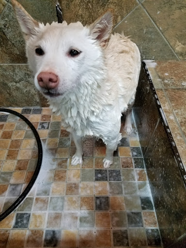 Pet Store «Pet Valu», reviews and photos, 611 Berlin-Cross Keys Rd, Sicklerville, NJ 08081, USA