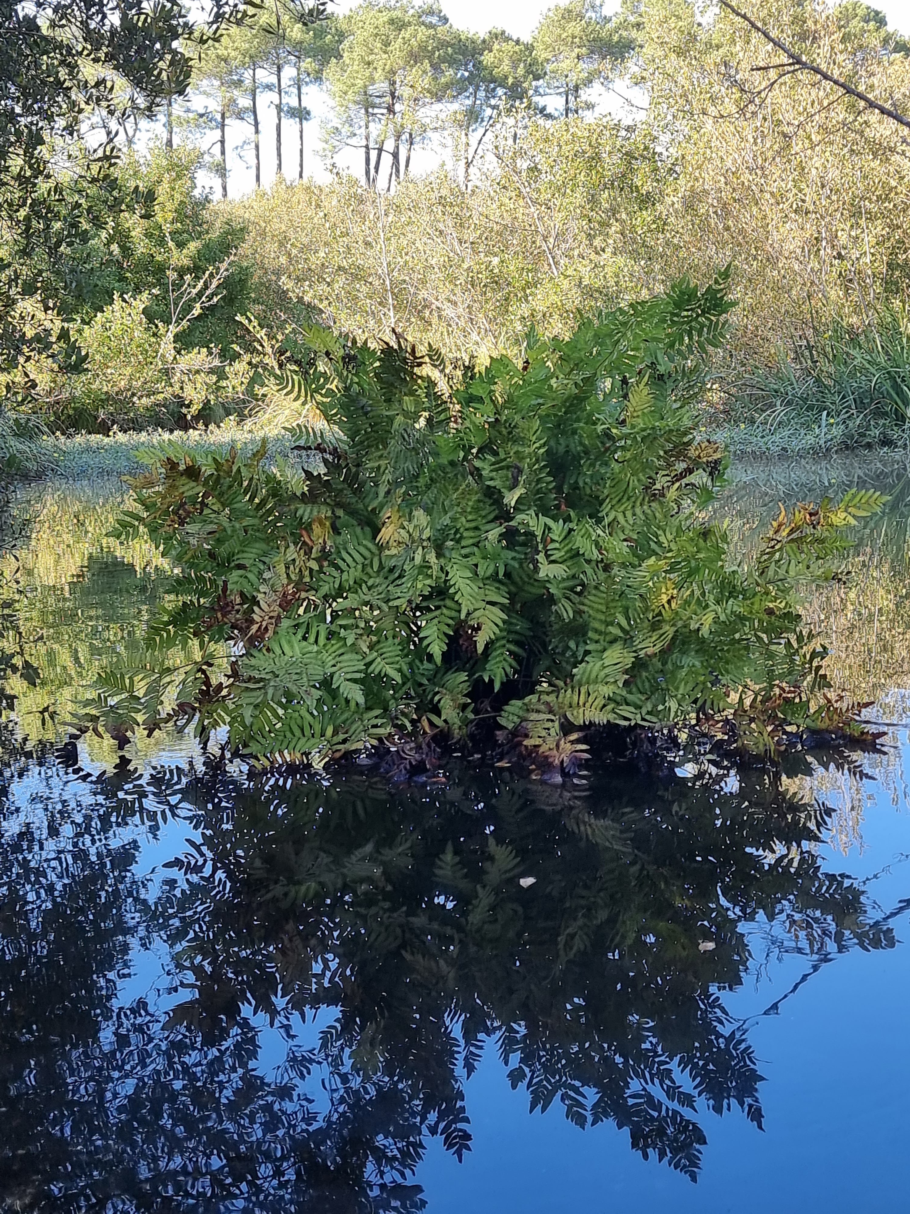 Photo n° 12 de l'avis de Philippe.a fait le 25/09/2022 à 19:28