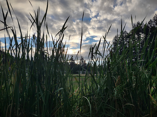 Golf Course «Scott lake Golf Course», reviews and photos, 11746 Scott Creek Dr SW, Olympia, WA 98512, USA