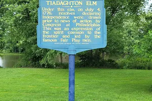 Tiadaghton Elm image