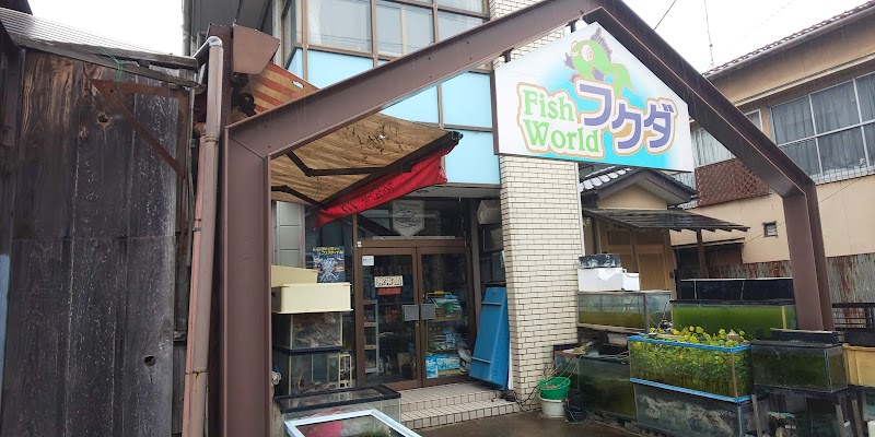 福田金魚店