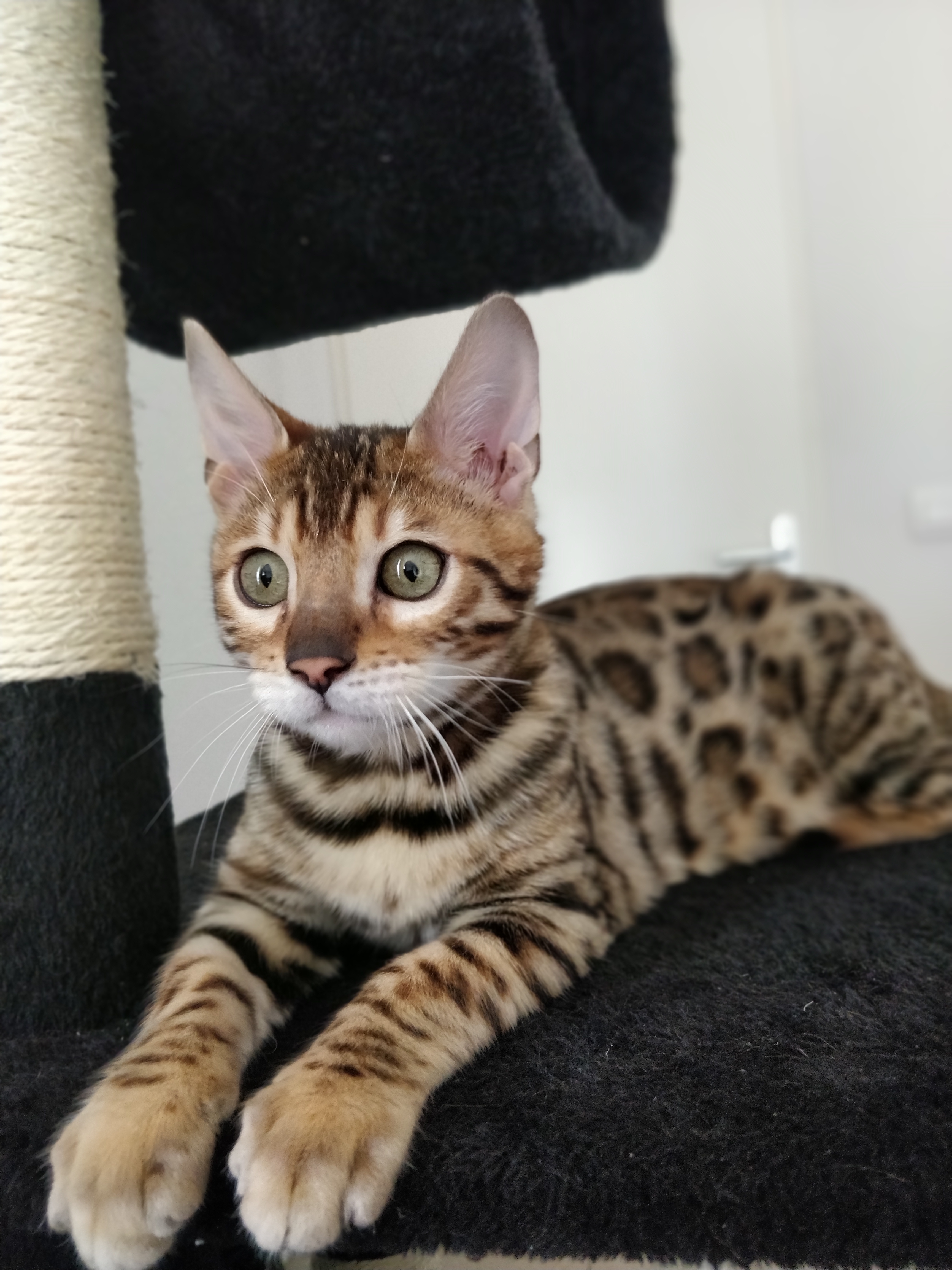 Photo n° 3 de l'avis de DeGuN. fait le 18/04/2019 à 13:15