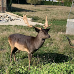Photo n°13 de l'avis de Joerg.e fait le 09/10/2021 à 20:58 sur le  Hirsch Hüttenreute Landgasthof à Hoßkirch