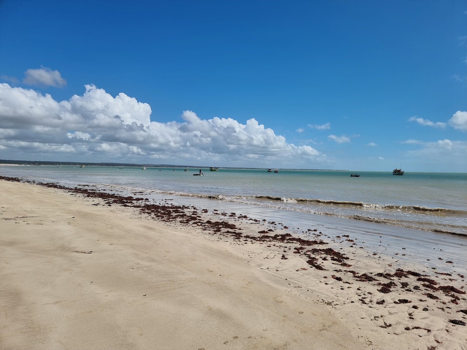 Praia Formosa photo #7