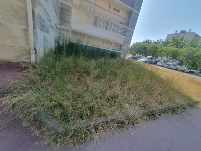 13 Habitat (District Arles et la Crau) à Arles