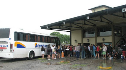Terminal De Omnibus