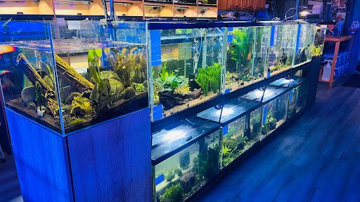 Tropical Fish Store «Wet Pets», reviews and photos, 520 Hartford Turnpike # X, Vernon, CT 06066, USA