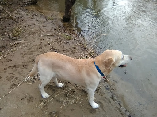 Nature Preserve «Caesar Creek Gorge State Nature Preserve», reviews and photos, 4080 Corwin Rd, Oregonia, OH 45054, USA