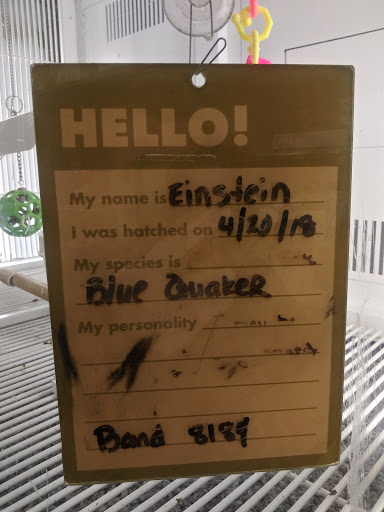 Pet Supply Store «Petco Animal Supplies», reviews and photos, 35860 Chester Rd, Avon, OH 44011, USA