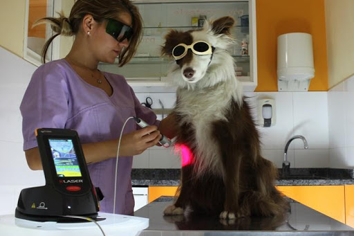 Centro Veterinario El Refugio en Madrid