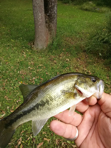 Pet Supply Store «Farmside Supplies Inc», reviews and photos, 15 Loomis Ave, Sussex, NJ 07461, USA