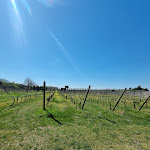 Photo n°7 de l'avis de Francisco.i fait le 10/04/2023 à 14:37 sur le  Borgo Romantico Relais à Cavaion Veronese