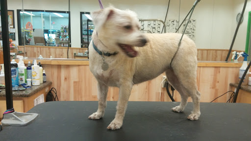 Pet Supply Store «Pet Supplies Plus», reviews and photos, 4751 Hiawatha Ave, Minneapolis, MN 55406, USA