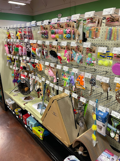 Pet Store «Choice Pet Market», reviews and photos, 2915 W Ray Rd, Chandler, AZ 85224, USA