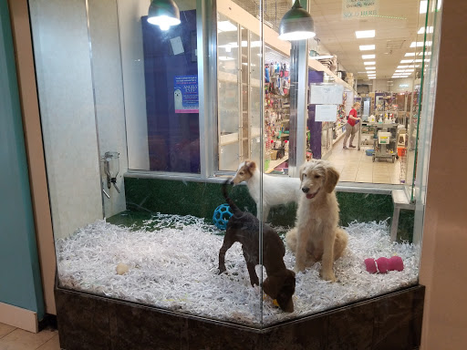 Pet Store «Pet City Pet Shops», reviews and photos, 750 Citadel Dr N # 2092, Colorado Springs, CO 80909, USA