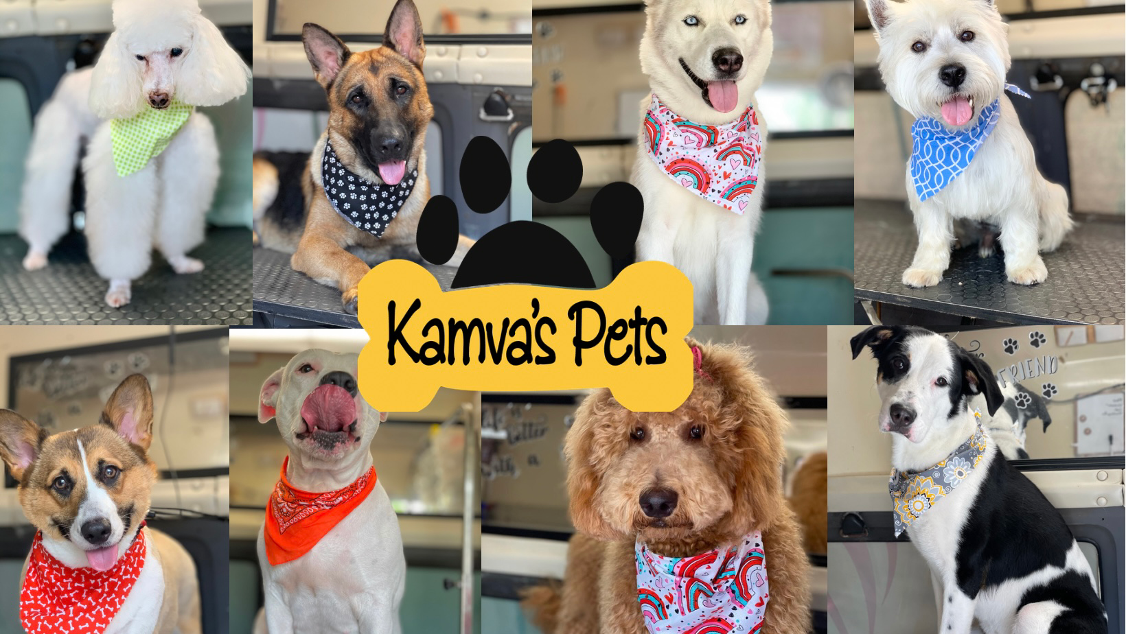 Kamva's pets
