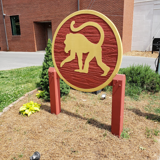 Brunch Restaurant «Frothy Monkey», reviews and photos, 125 5th Ave S, Franklin, TN 37064, USA